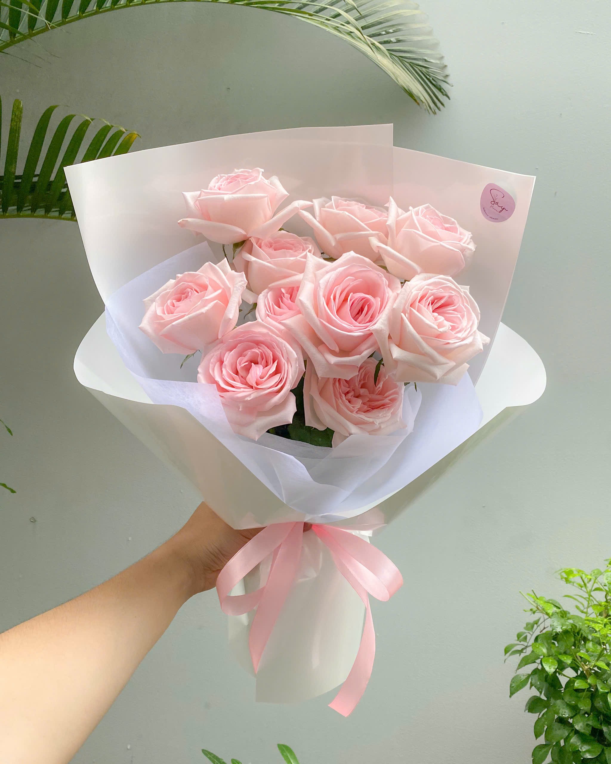 Bó dưới 300k 8