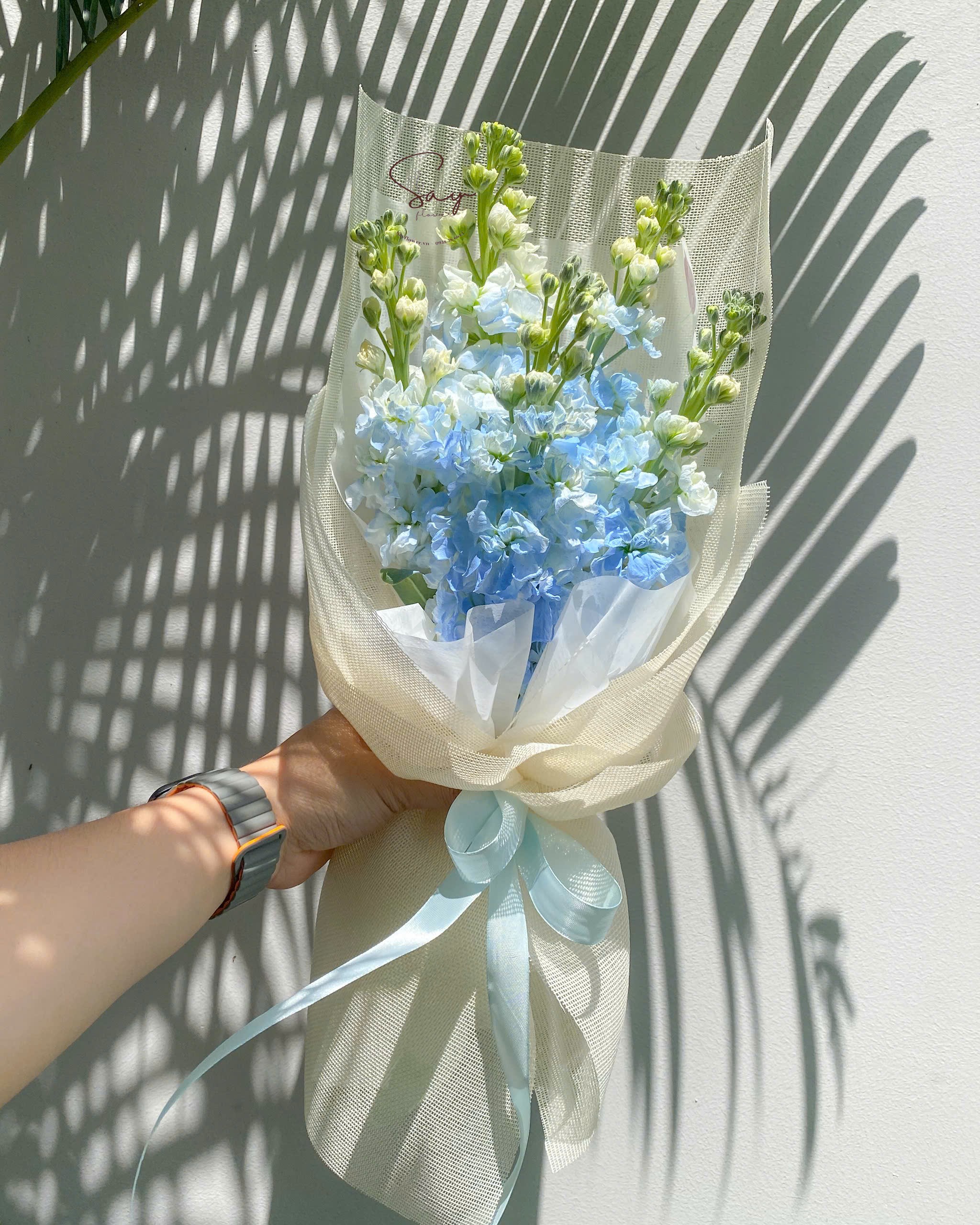 Bó dưới 300k 6