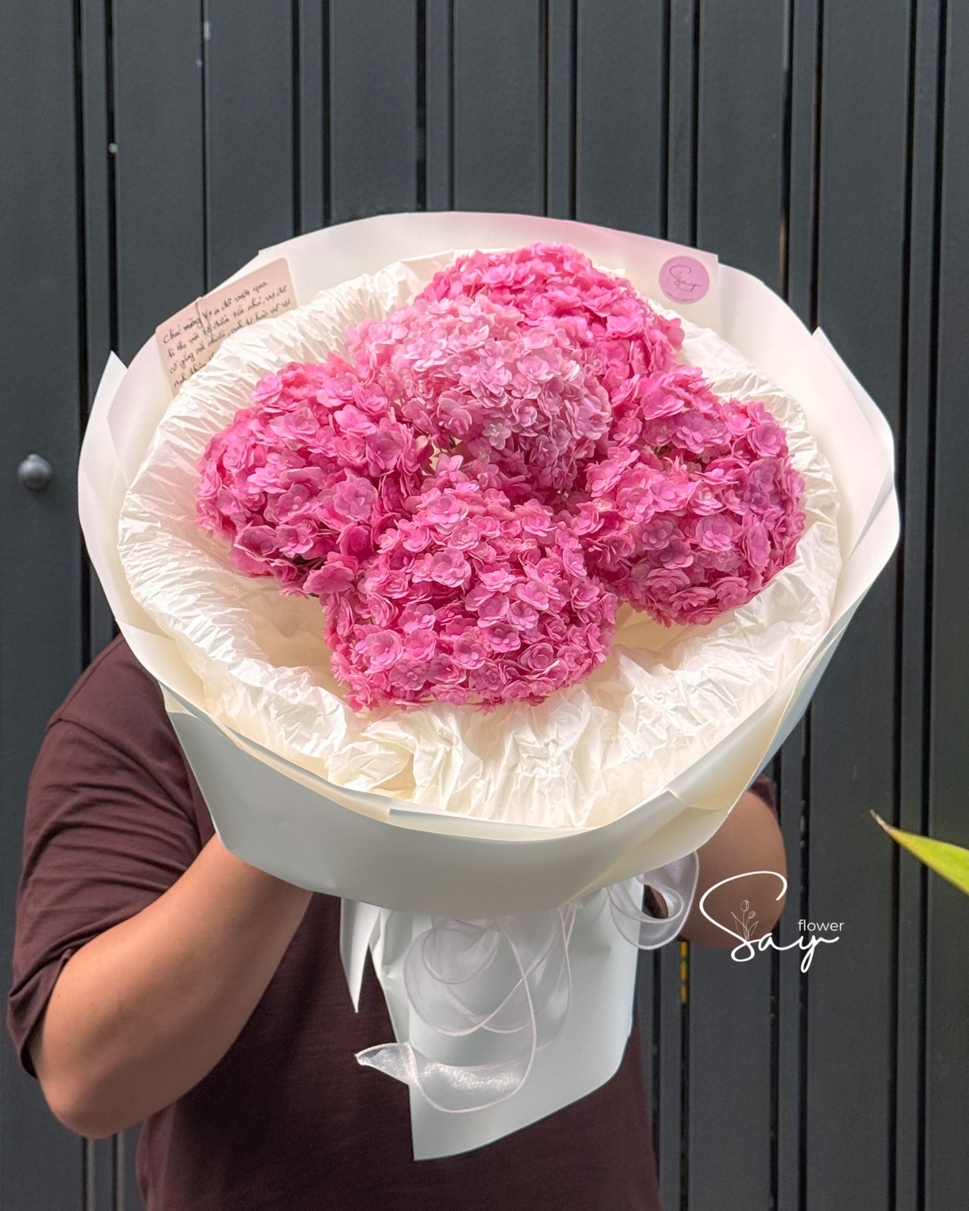 Tú Cầu hồng cánh kép