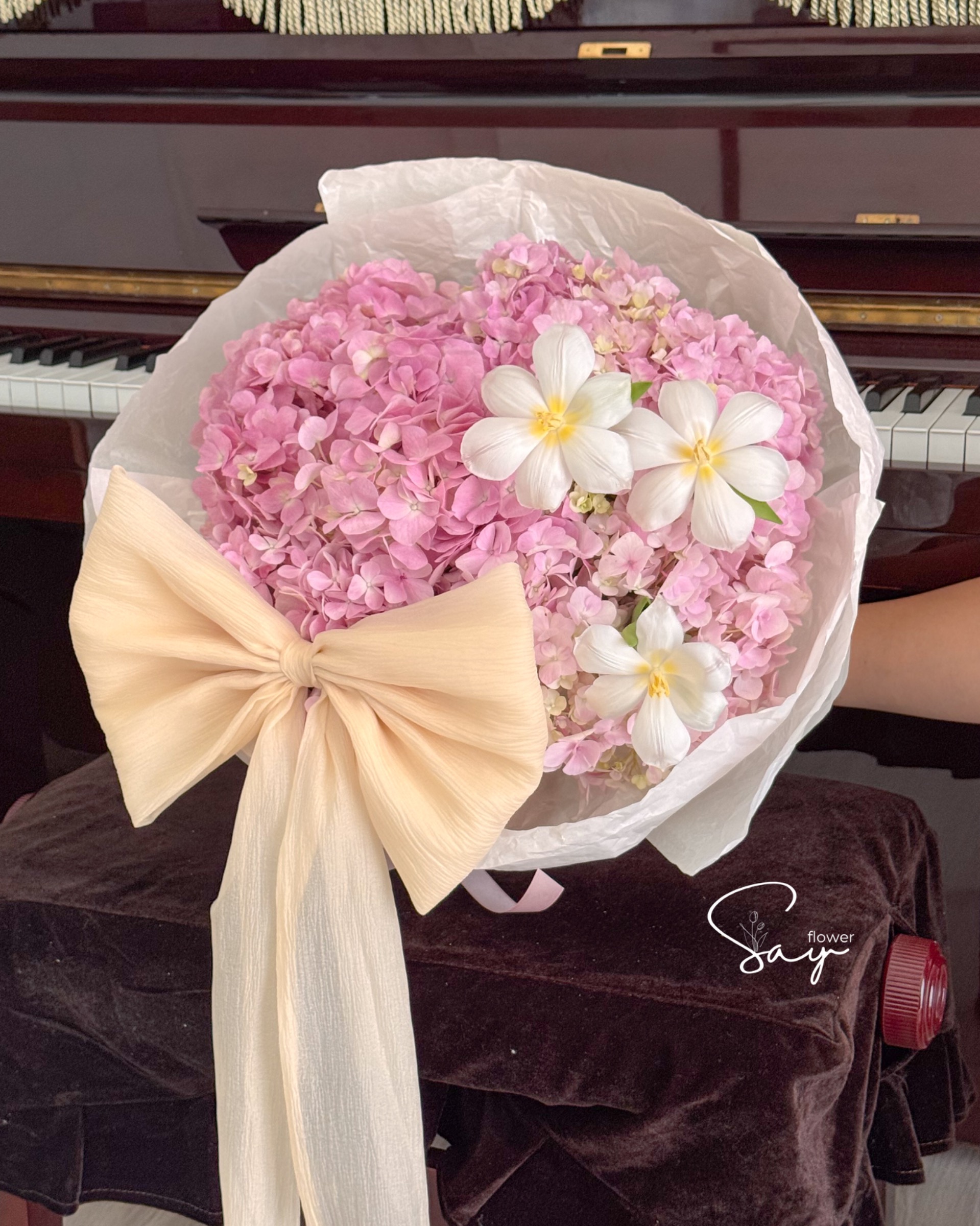 Cẩm tú cầu hồng nhập vs 3 tulip