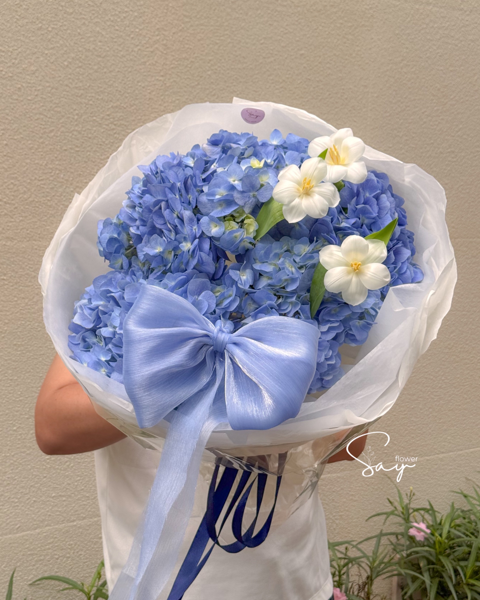 Cẩm tú cầu nhập vs 3 tulip