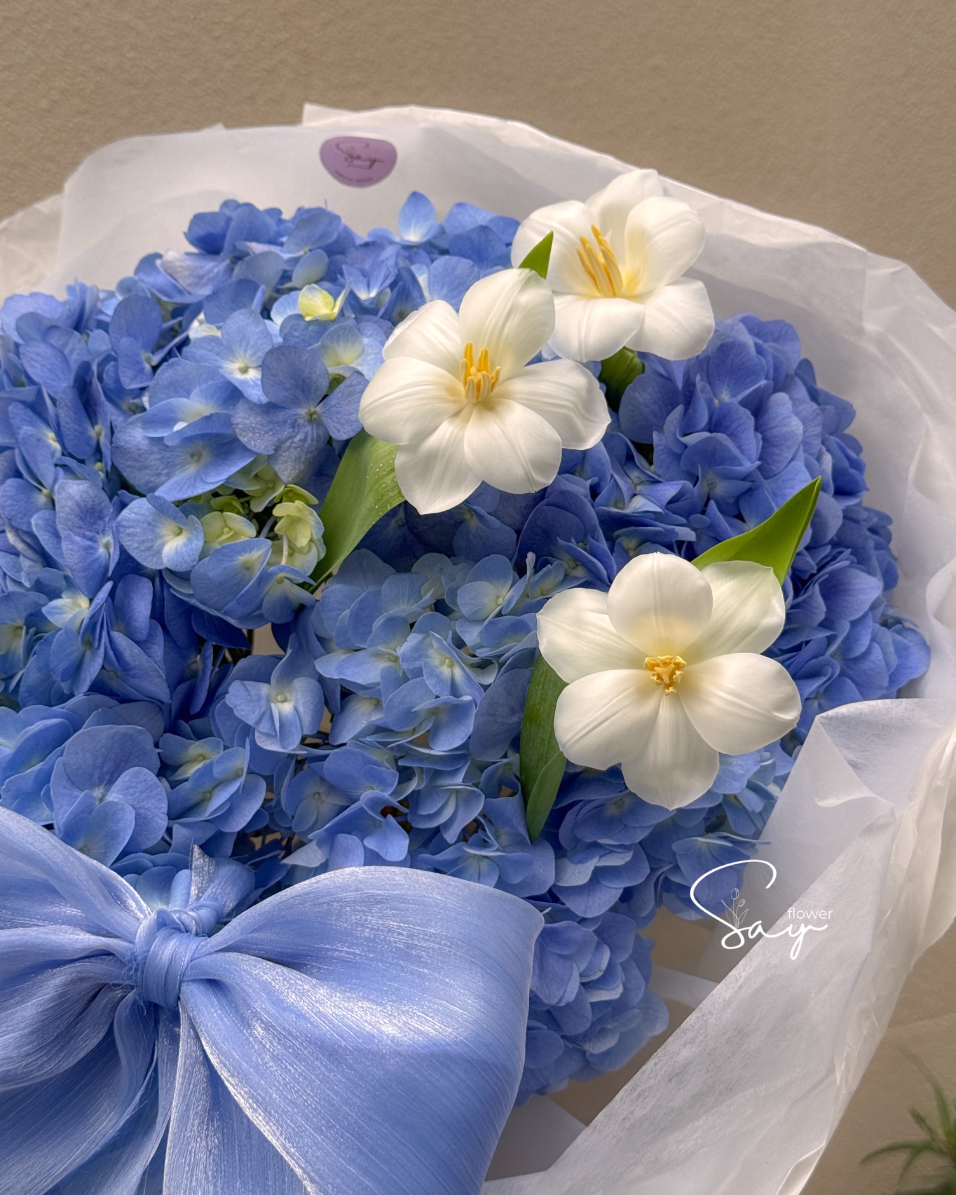 Cẩm tú cầu nhập vs 3 tulip 2