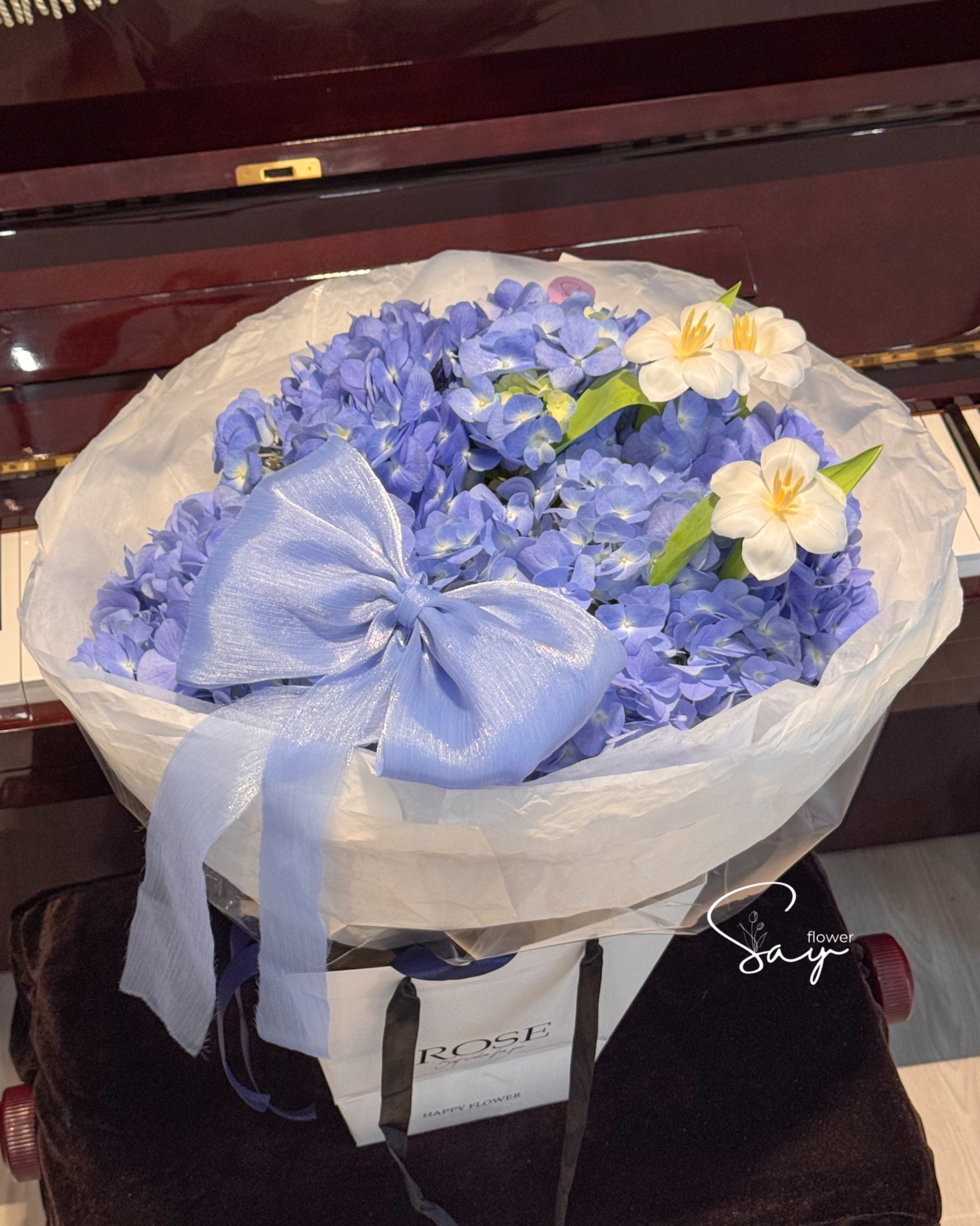 Cẩm tú cầu nhập vs 3 tulip 3
