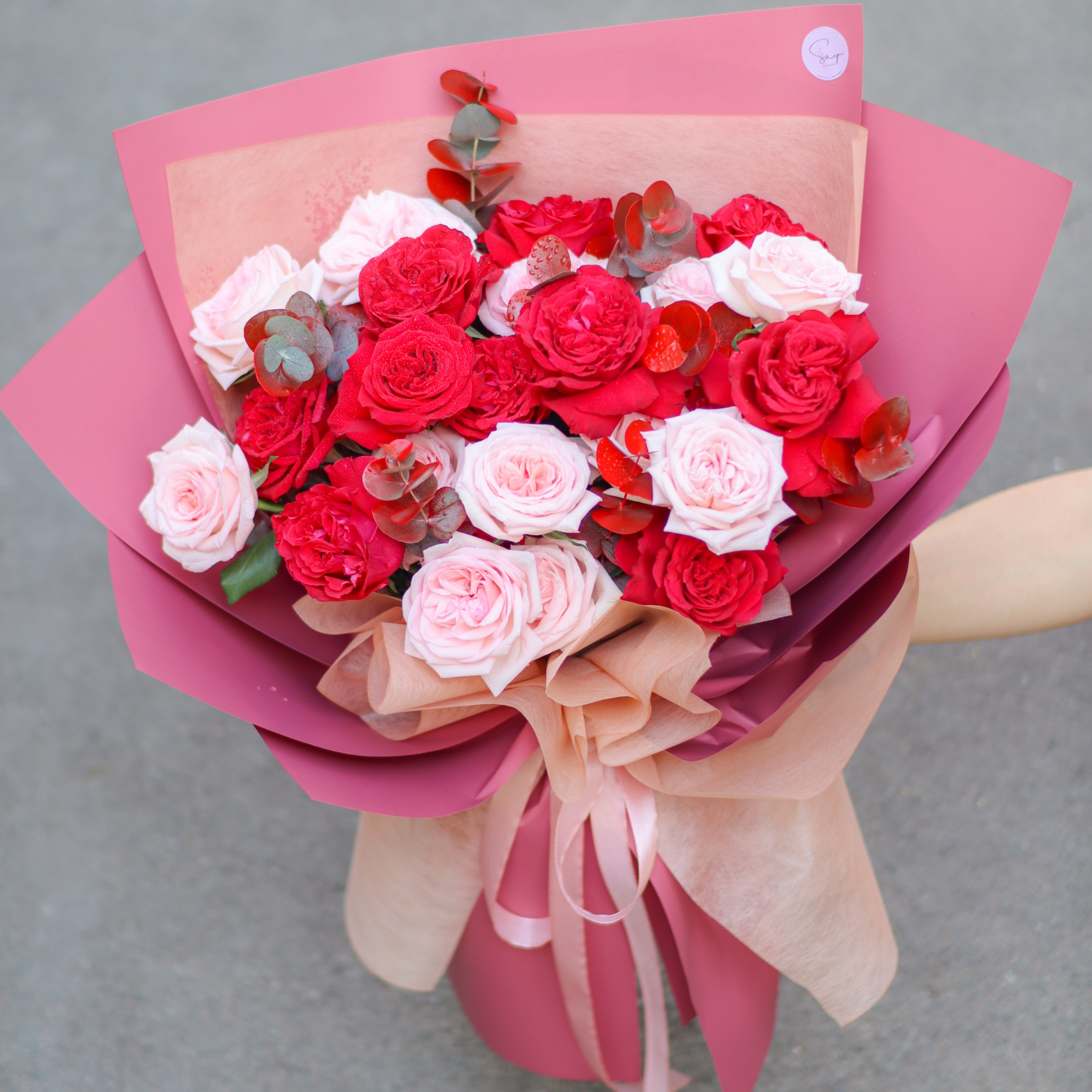 Ohara hồng & ohara đỏ 2