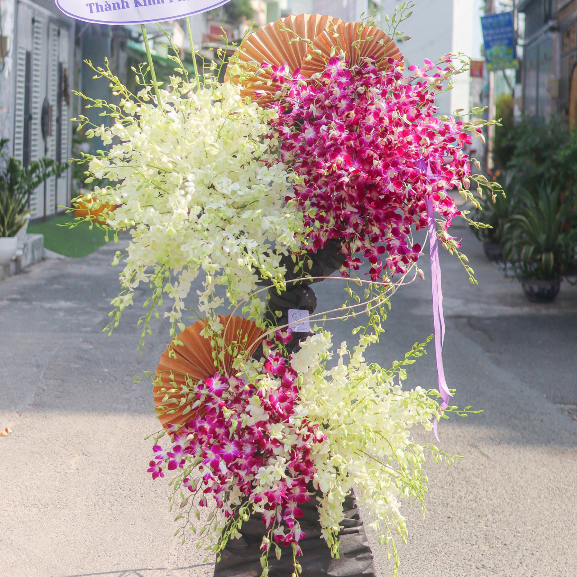 Suối nguồn 4