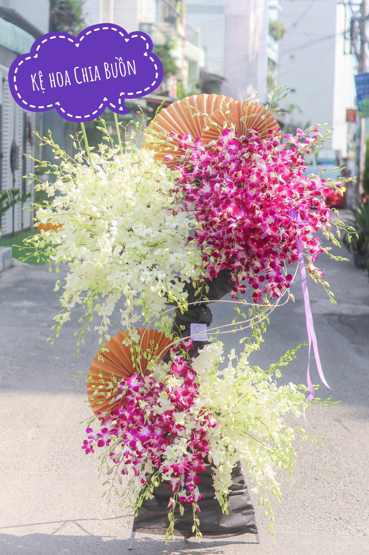 Suối nguồn 5