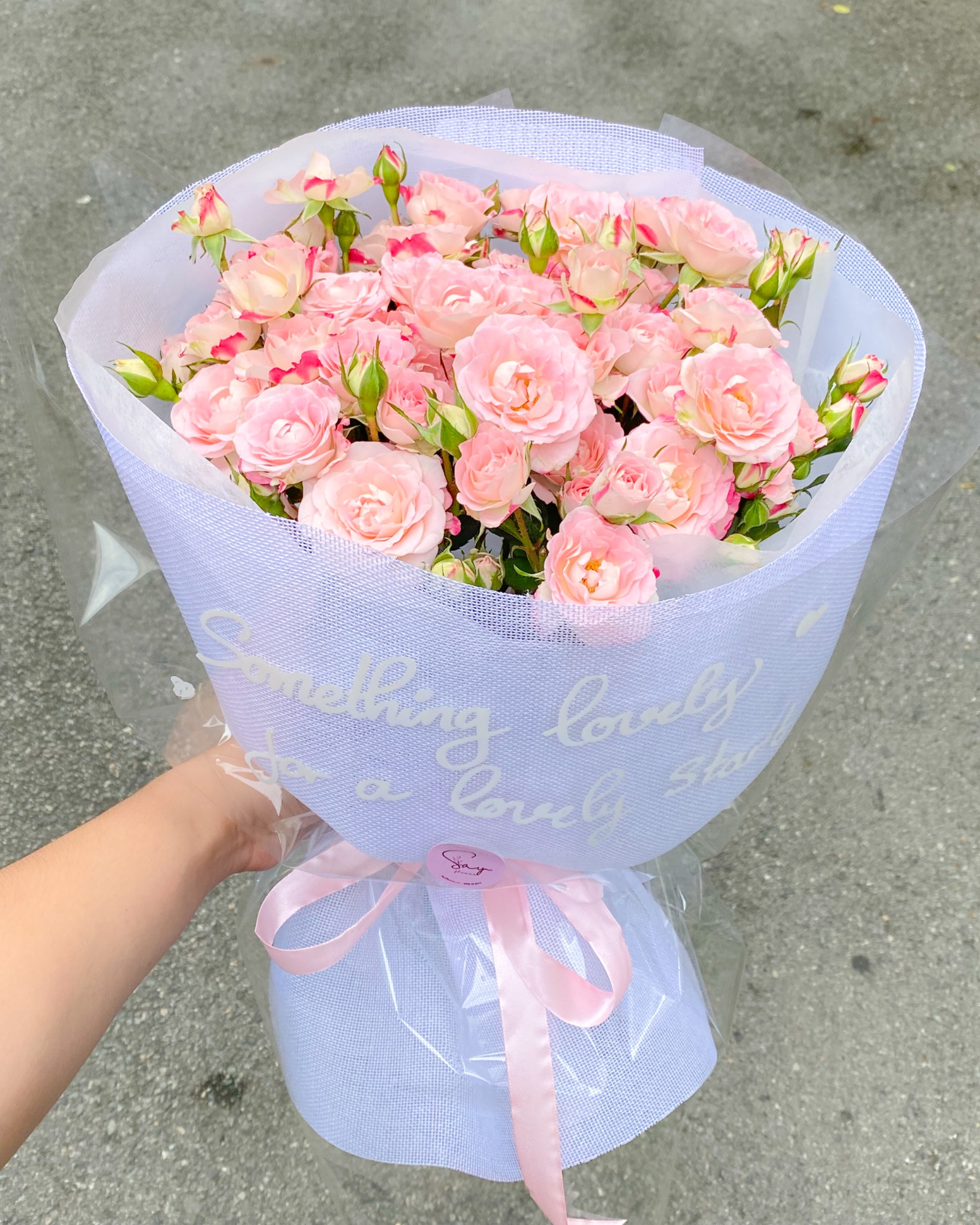Chiết xạ 2