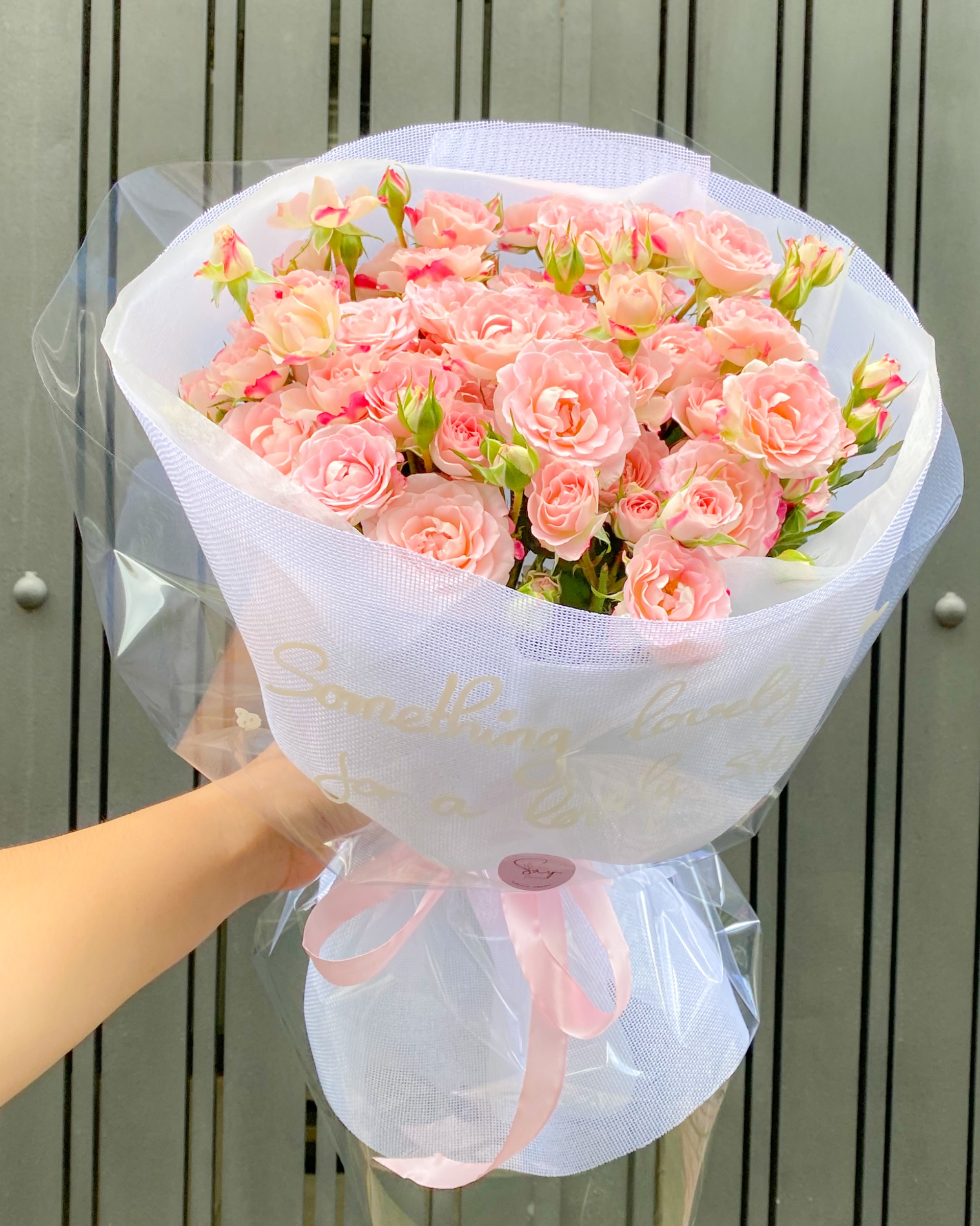 Chiết xạ 2 3