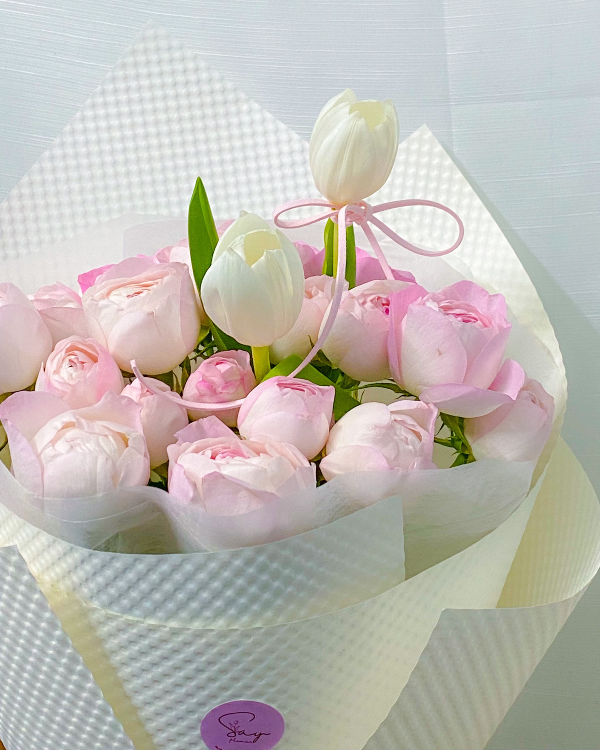 Plume mix Tulip 2