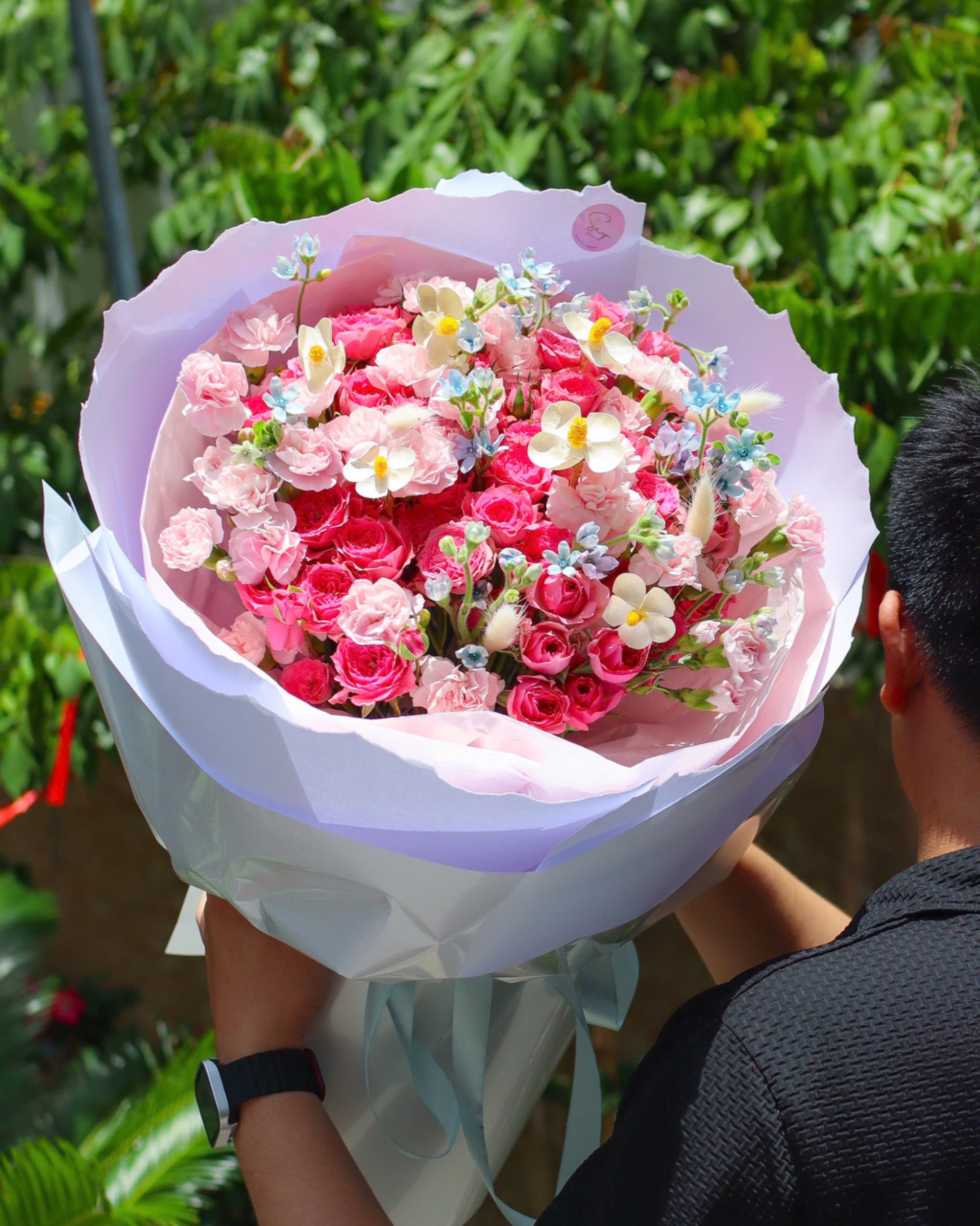 Sophia mix cẩm chùm 2 3