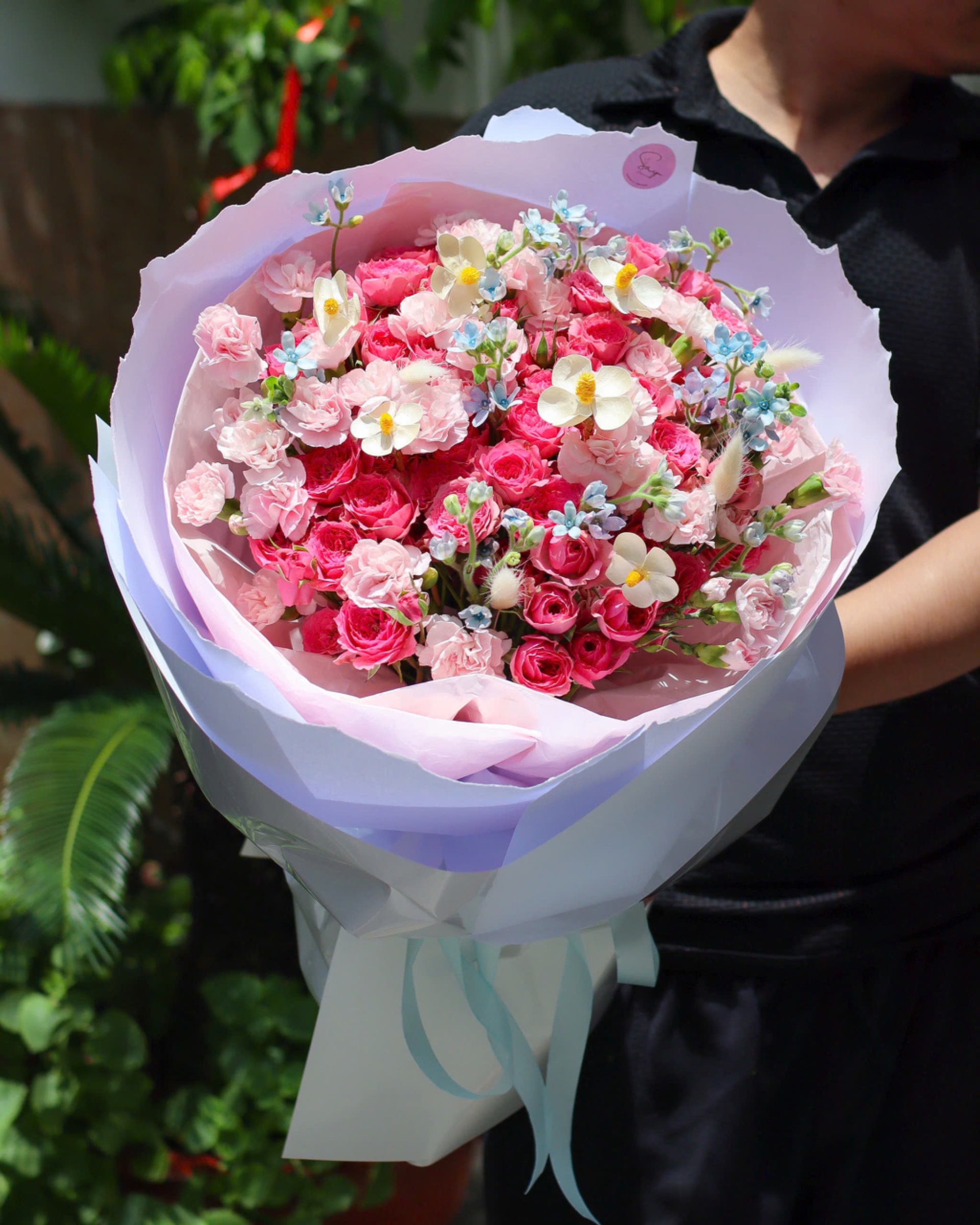 Sophia mix cẩm chùm 2